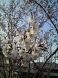 P1000325.jpg